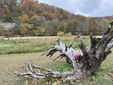 145 Big Buffalo Estates Cir, Linden, TN 37096 - photo 5