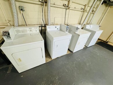 image3 (8)