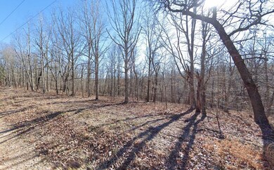 0 Eagle Dr, Eucha, OK 74342 - photo 2