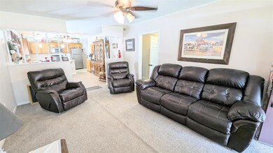 10505 Highway 17, Gilbertown, AL 36908 - photo 4