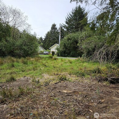 382 Cygnus Ave SW, Ocean Shores, WA 98569 - photo 7