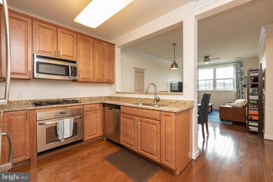 Dominion Heights unit 404, Arlington, VA 22207 - photo 5