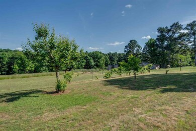 722 Mount Vernon Hickory Mountain Rd, Siler City, NC 27344 - photo 3