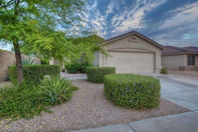Well Landscaped Front Elevation