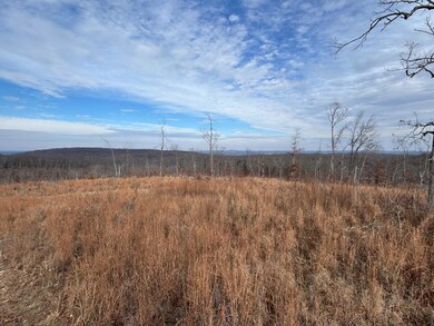 000 Berry Rd, Cabool, MO 65689 - photo 5