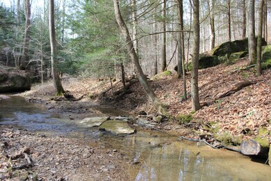 27621 Big Pine Rd, Logan, OH 43138 - photo 5