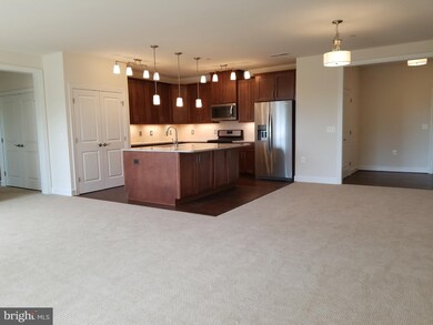 10530 Resort Rd unit 202, Ellicott City, MD 21042 - photo 3