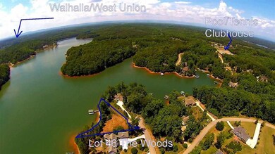 Lot 46 the Woods at Keowee, West Union, SC 29696 - photo 5