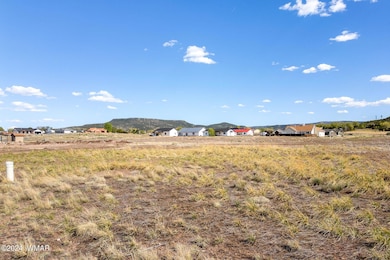Lot114-RiverRun-Eagar-AZ-14