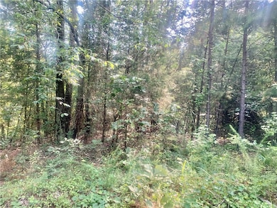 Dover AR acreage