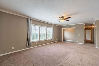 321 Archie Ln, Dawson Springs, KY 42408 - photo 4