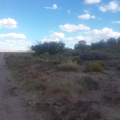 Bonito.13