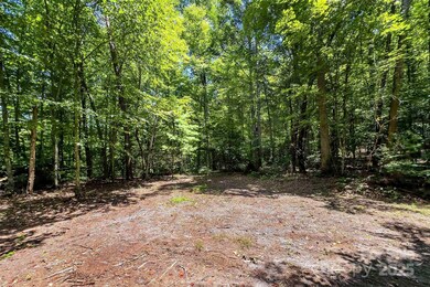 0 Buffalo Creek Rd unit CAR4155198, Lake Lure, NC 28746 - photo 2