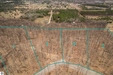 Lot E Retreats Way, Rapid City, MI 49676 - photo 3