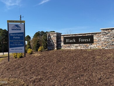 18 Cedar Run Ct unit 11, Benson, NC 27504 - photo 2