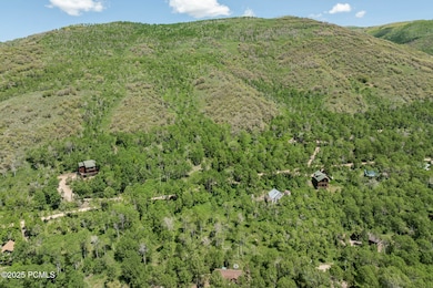 003_5428coulter10_535