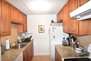 12-16 Ellery St unit 205, Cambridge, MA 02138 - photo 6