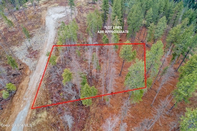 Aerial_GarfieldBay_Lot3-2_Outlined