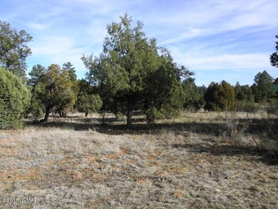 Van Leer Land 003.JPG