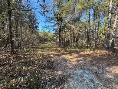 1151 Buckhead Dr, Tignall, GA 30668 - photo 2