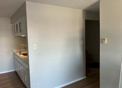 7537 175th St unit 534, Tinley Park, IL 60477 - photo 6