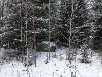 Lot 13 Sanctuary Rd, Tomahawk, WI 54487 - photo 6