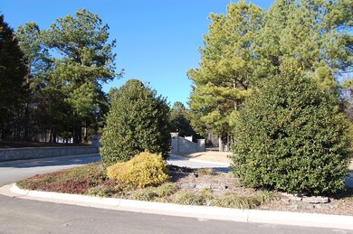 0Lot3 W Highland Cir, Poplar Bluff, MO 63901 - photo 6