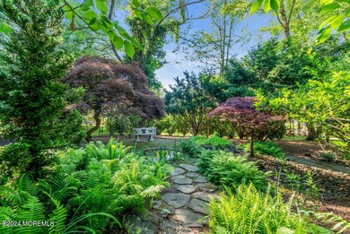 Woodland garden 91