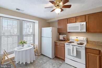 7524 Summer Blossom Ln, Columbia, MD 21046 - photo 3