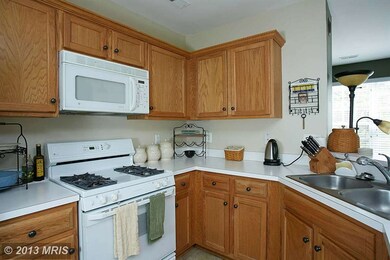 21832 Elkins Terrace unit 21832, Sterling, VA 20166 - photo 5