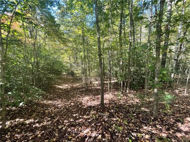 527-533 the Bear Blvd, Tamassee, SC 29686 - photo 7