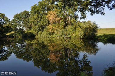 15021 Mountain Rd, Hillsboro, VA 20132 - photo 3