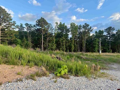 7958 Mc 6061, Flippin, AR 72634 - photo 7