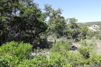 19319 Terra Brook, Northwest Side, TX 78255 - photo 4