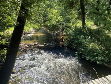Cushman4