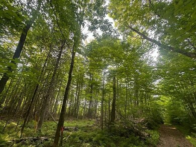 Lot 33 Butterfield Rd, New Sharon, ME 04955 - photo 3