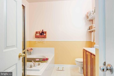 9693 Devedente Dr, Owings Mills, MD 21117 - photo 6