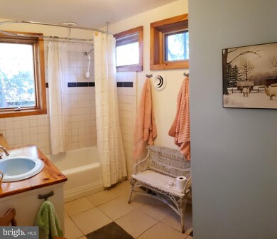 1343 Broad Run Rd, Brandywine, WV 26802 - photo 7