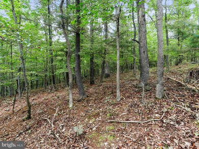 0 Somers Ln, Berkeley Springs, WV 25411 - photo 7