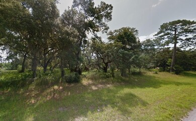 Fort McCoy, Fort McCoy, FL 32134 - photo 7