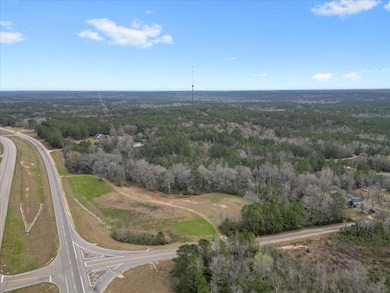 21ac Us Highway 98, Columbia, MS 39429 - photo 2