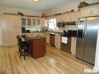 502 S East St, Virginia, IL 62691 - photo 3