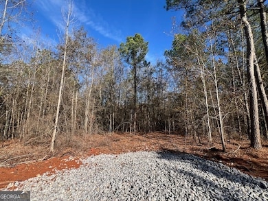 150 Berry Rd, Barnesville, GA 30204 - photo 5