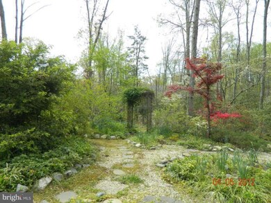 45695 Linden Ln, Lexington Park, MD 20653 - photo 6