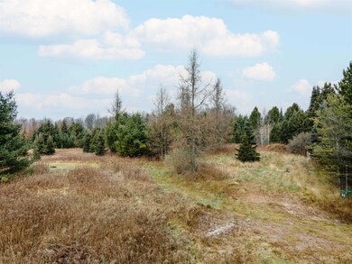 200 Olson Loop, Iron River Township, MI 49935 - photo 3