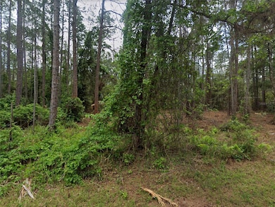 218 1st St, Georgetown Cove, FL 32139 - photo 3