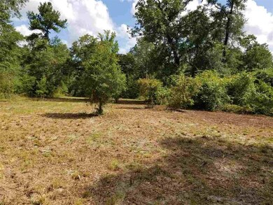 650 Whiddon Lake Rd, Crawfordville, FL 32327 - photo 6