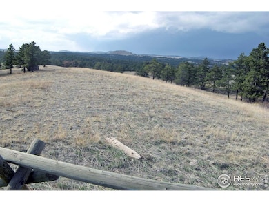 280 Timber Trail, Livermore, CO 80536 - photo 4