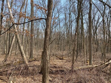 1108 Oakview Ln, Genoa, IL 60135 - photo 7