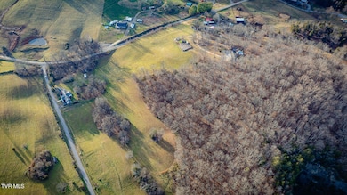 Tbd Henry Ln, Kingsport, TN 37663 - photo 7